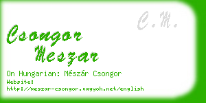csongor meszar business card