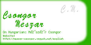 csongor meszar business card